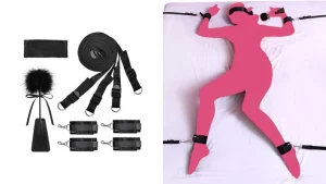Sex Toys for Couples